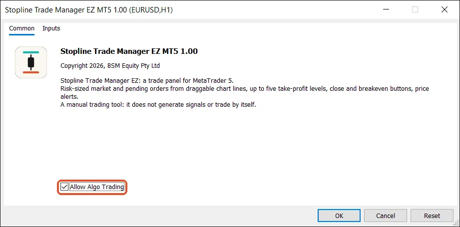 The Common tab: tick Allow Algo Trading