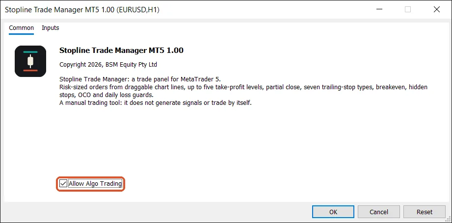 The Common tab: tick Allow Algo Trading
